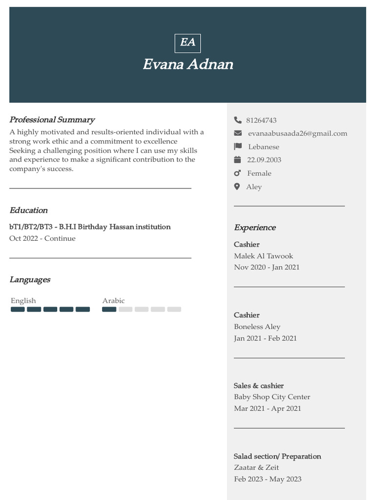 Professional Summary and Work Experience | PDF