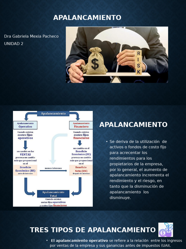 Tipos de Apalancamiento Empresarial | PDF