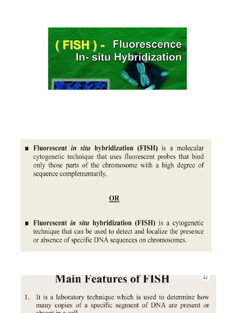 FISH New | PDF