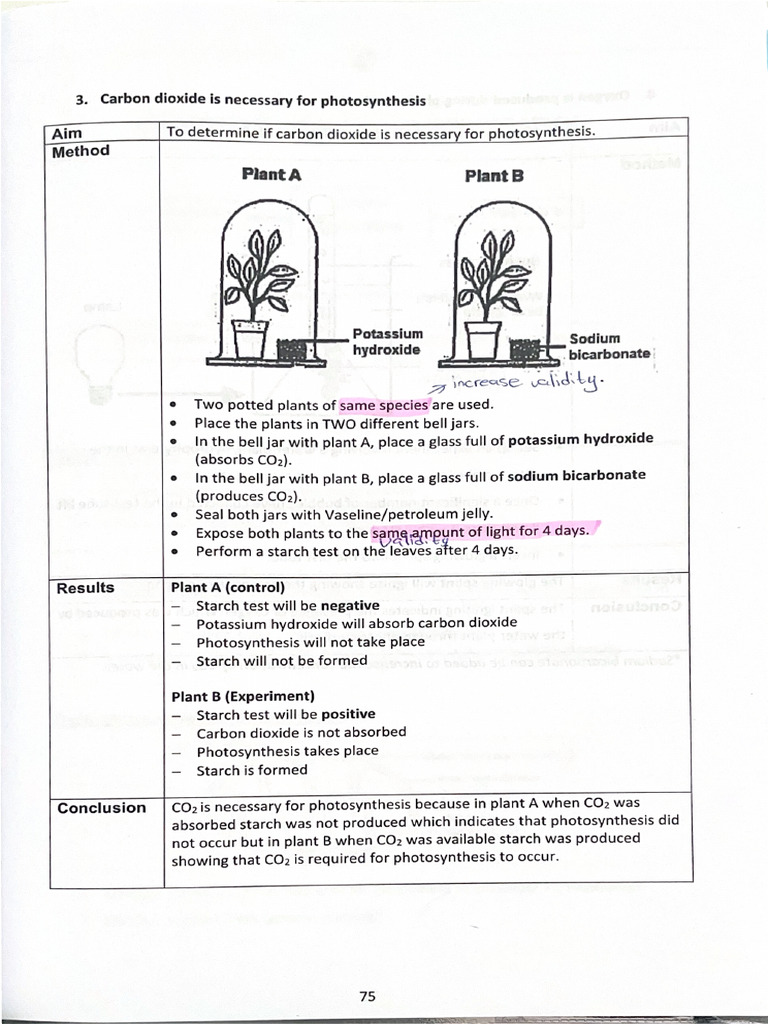Carbon Dioxide Is Necessary For Photosynthesis | PDF