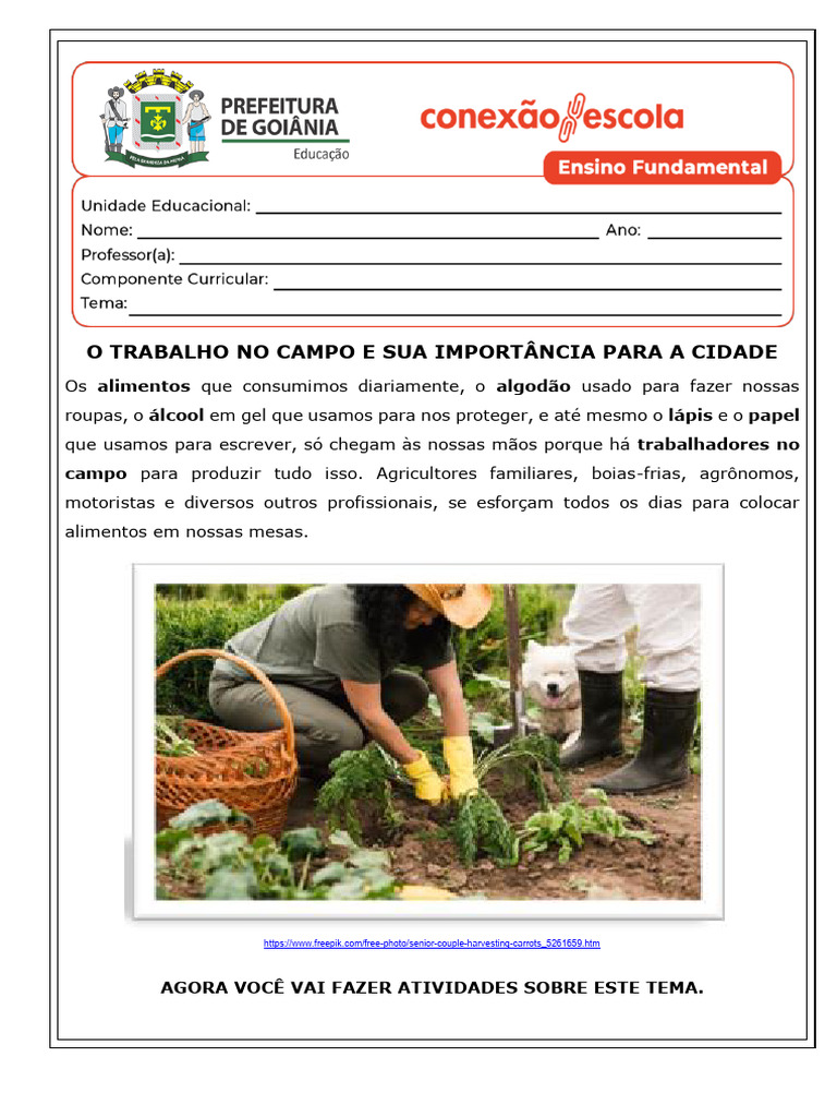 Trabalho no Campo e sua Importância | PDF | Agricultura | Geografia