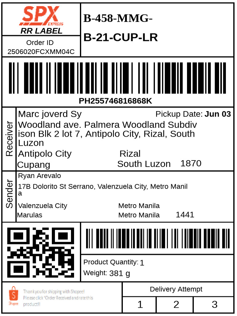 Order Delivery Details and Tracking Information | PDF