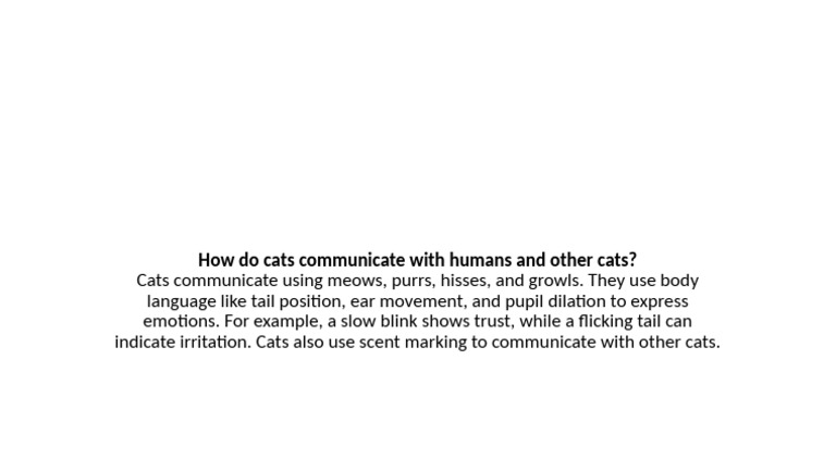 Understanding Cat Communication Methods | PDF