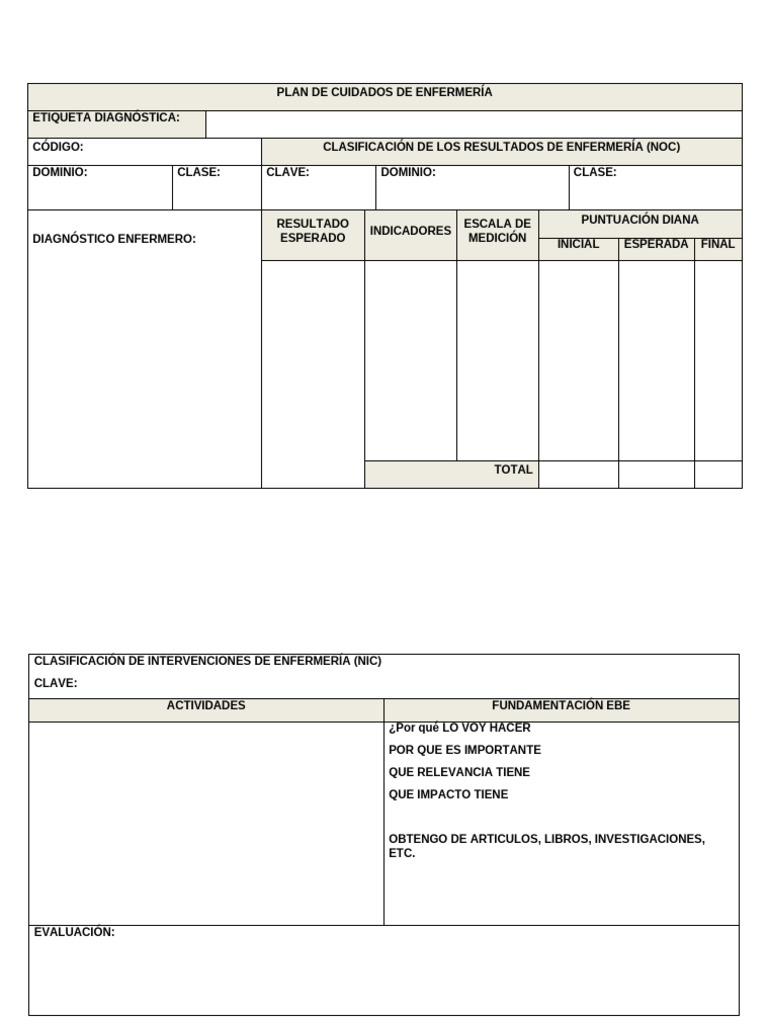 Plan de Cuidados de Enfermería Efectivo | PDF | Enfermería | Cuidado de ...