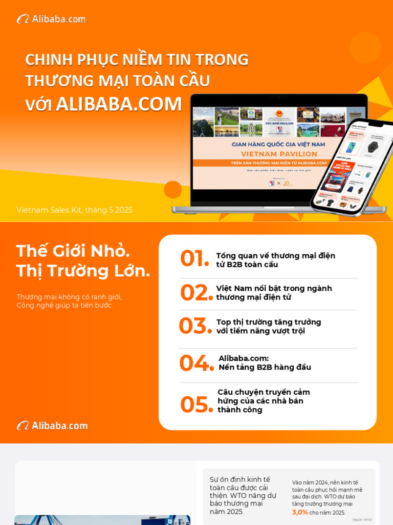 Alibaba Introduction | PDF