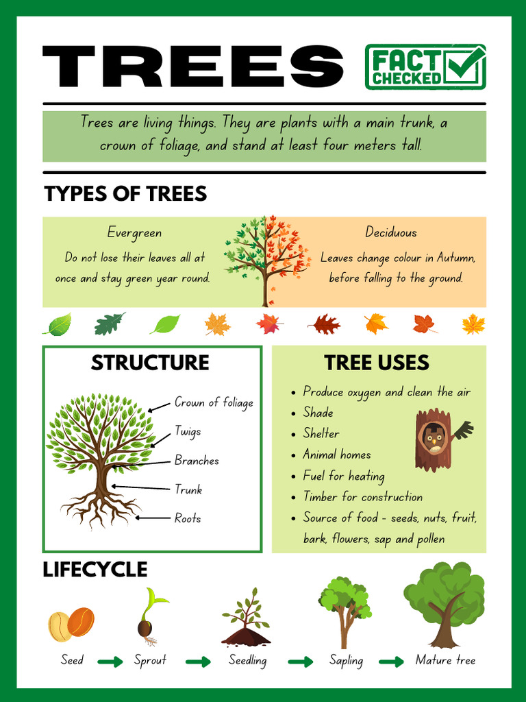 Essential Tree Functions and Types | PDF