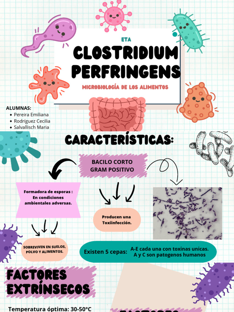 Clostridium Perfringens | PDF | Alimentos | Carne