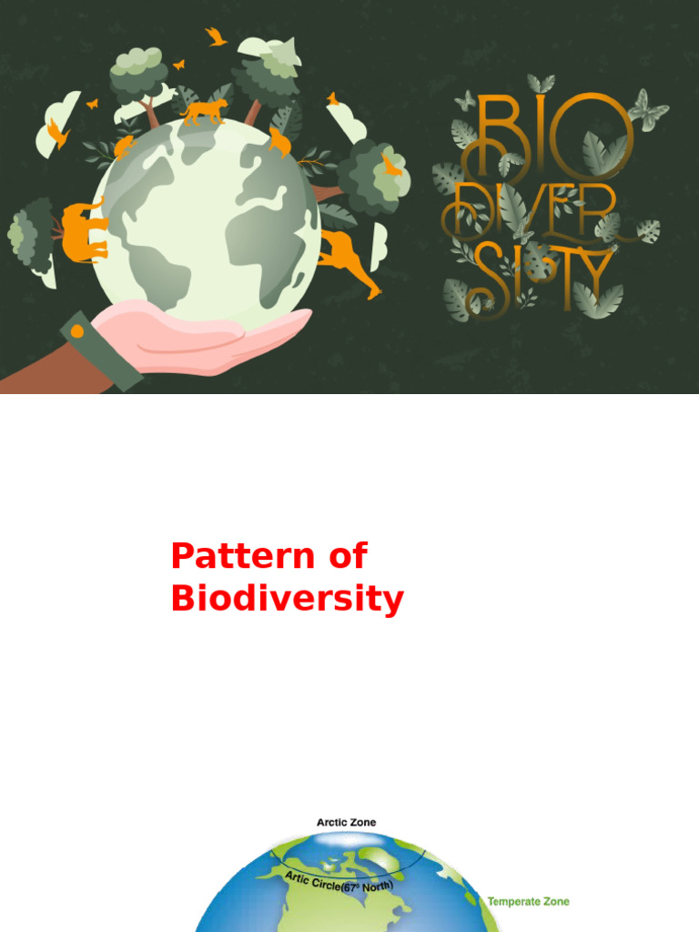2 Patterns of Biodiversity | PDF | Biodiversity | Tropics