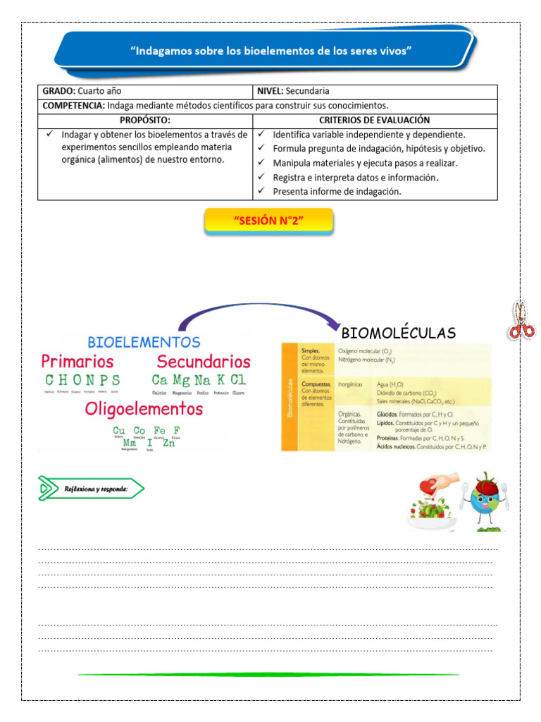 Indagación sobre Bioelementos en Alimentos | PDF | Organismos ...