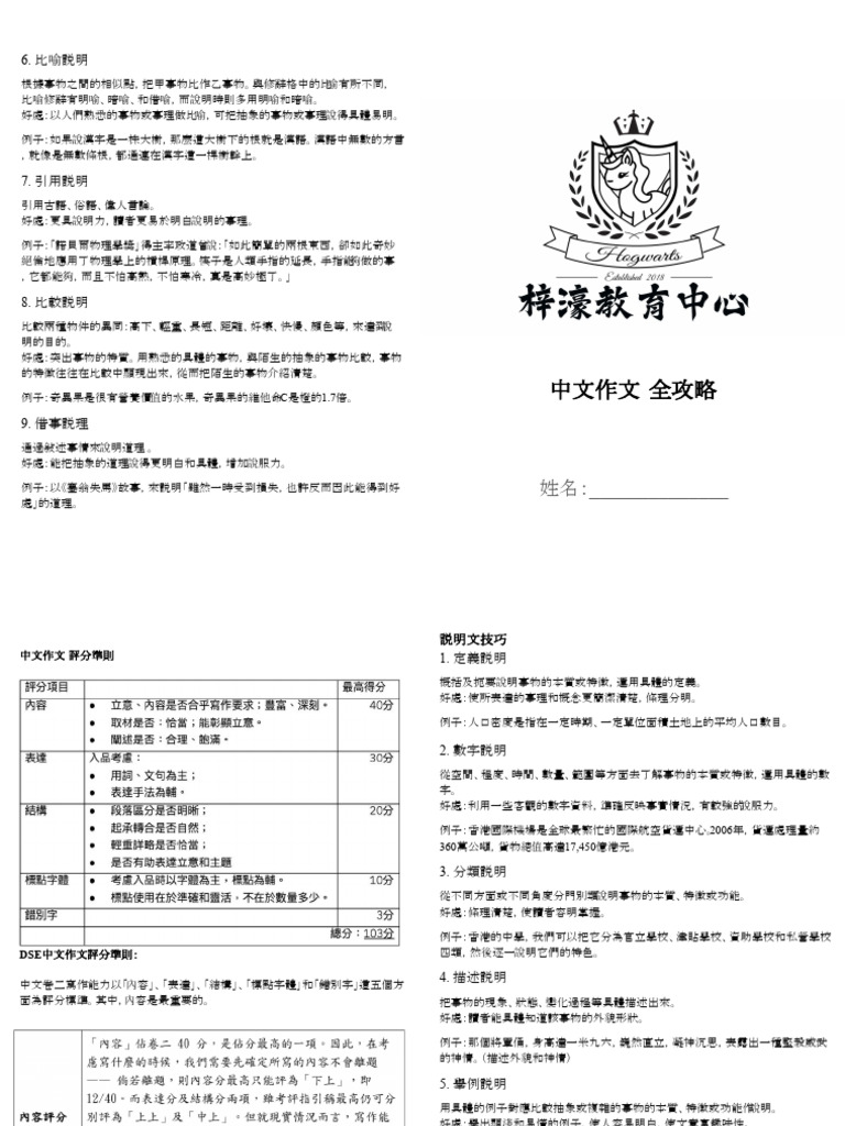 中文作文 全攻略 | PDF