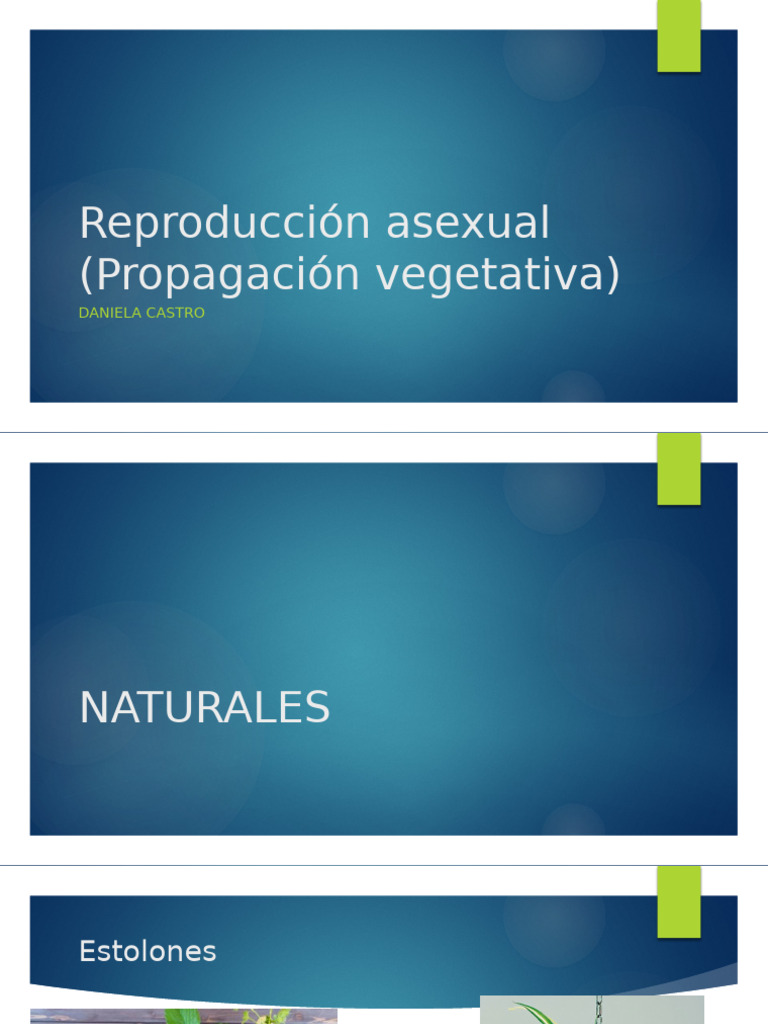 Reproducción Sexual y Asexual | PDF