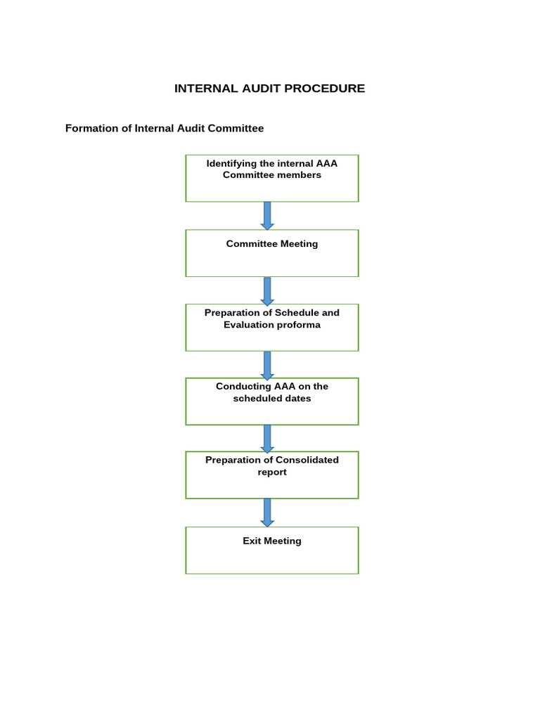 Internal Audit Procedure for Departments | PDF | Audit | Doctor Of ...