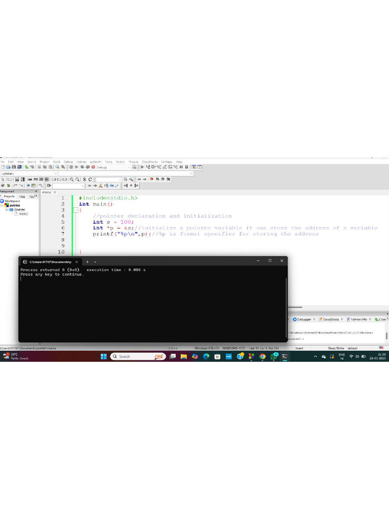 Pointer | PDF