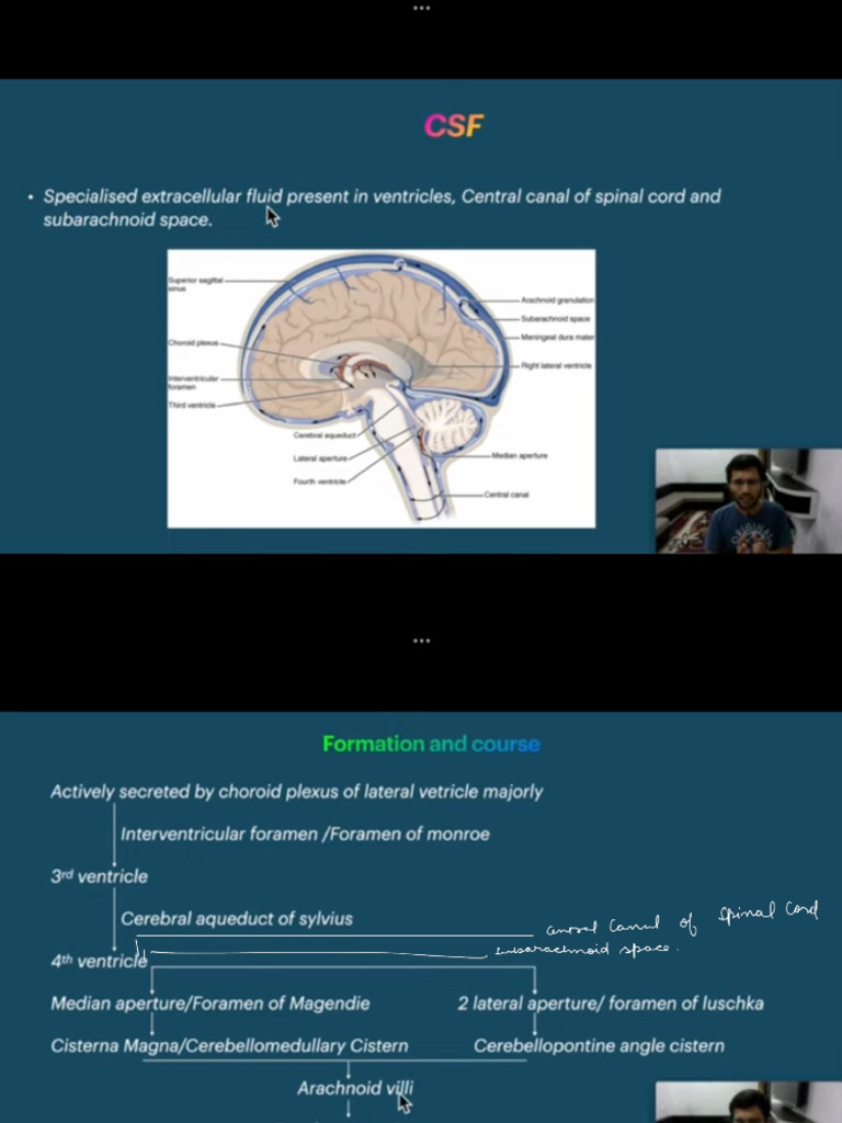 CSF | PDF