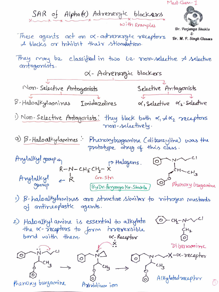 Pha Adrenergic Blockers With Classification and Examples | PDF