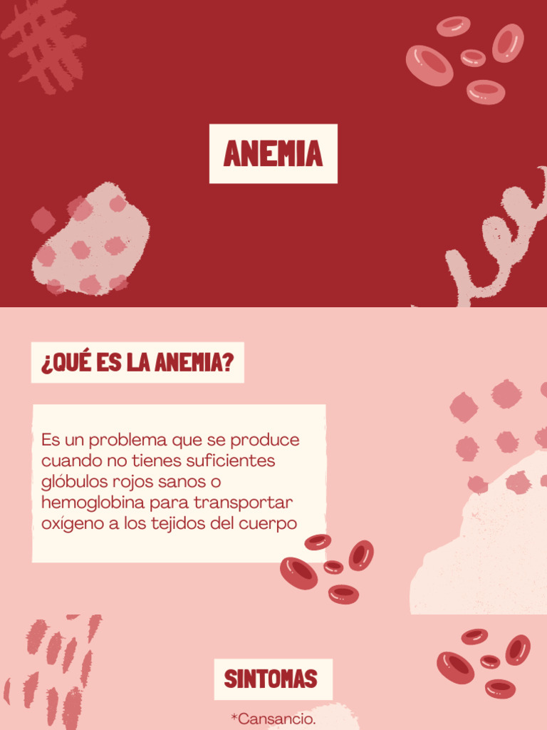Causas y tipos de anemia explicados | PDF | Anemia | Glóbulo rojo