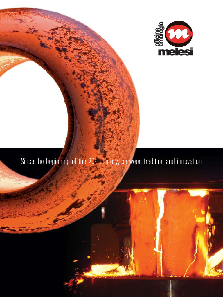 Melesi: Custom Flanges & Forged Products | PDF | Steel | Secondary ...