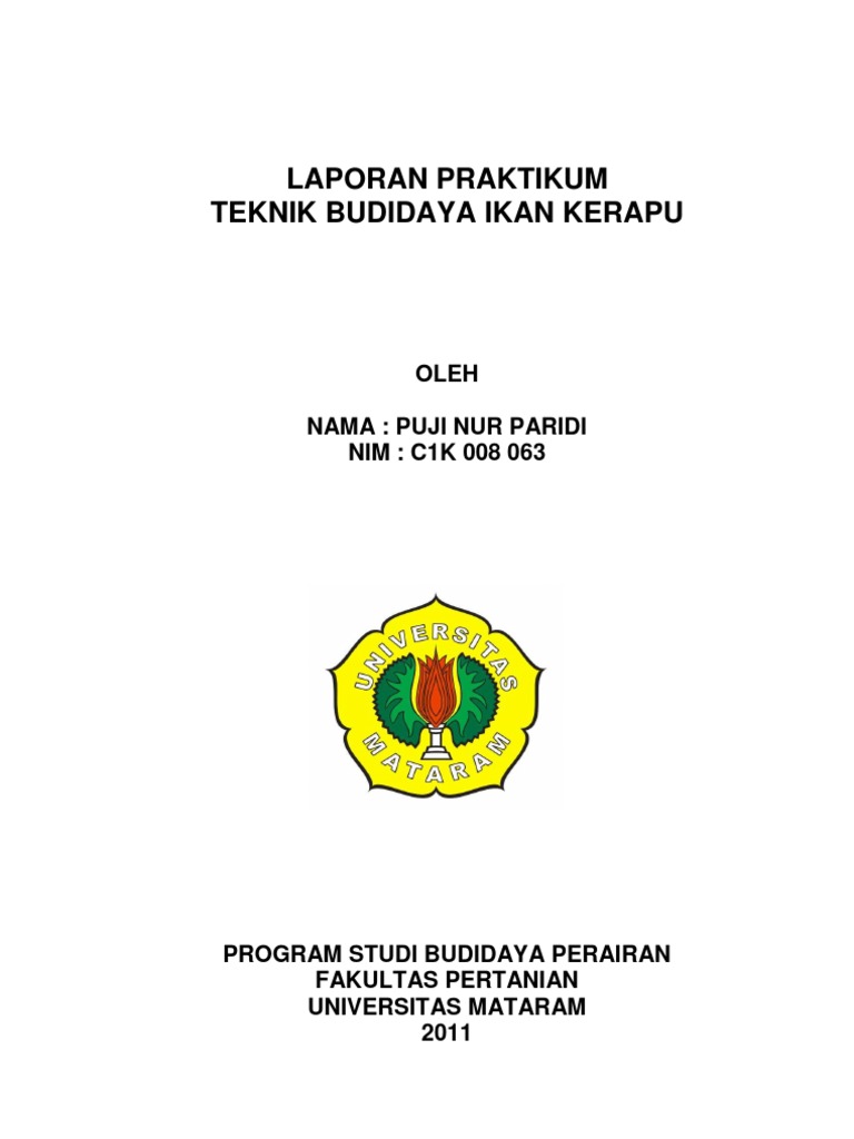Teknik Budidaya Ikan Kerapu