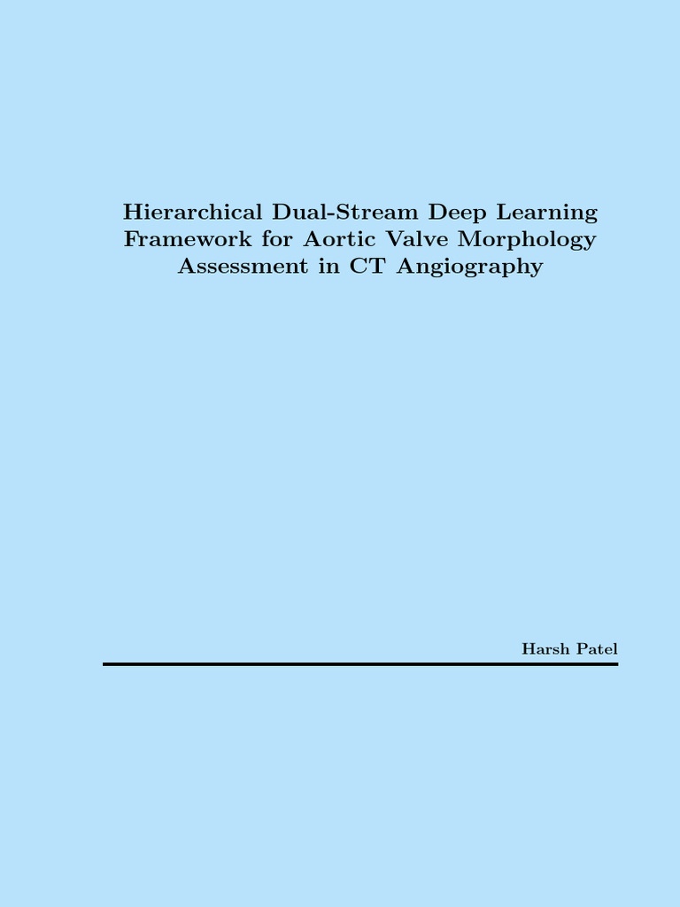 Aortic Valve Deep Learning Framework | PDF | Image Segmentation | Heart ...
