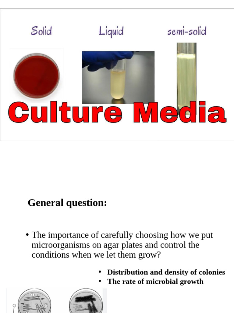 Inoculation and Incubation Techniques | PDF | Biology | Microscopy