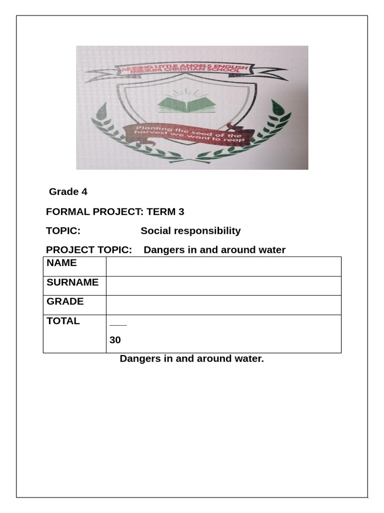 Water Safety Project for Grade 4 | PDF | Information | Water
