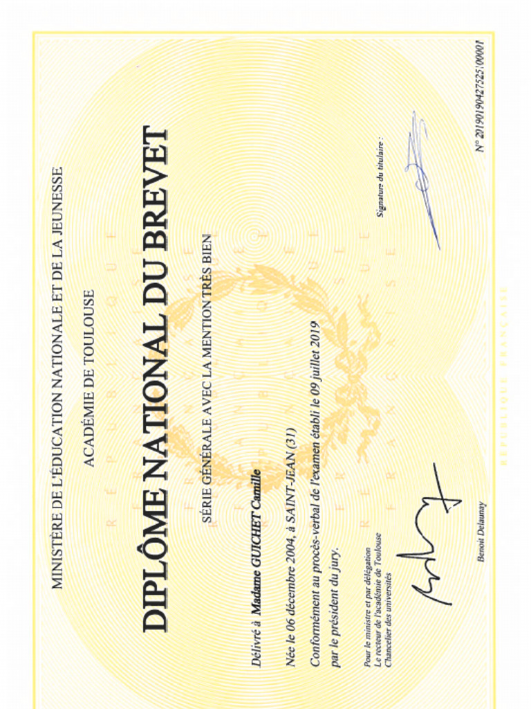 dipl-me-national-du-brevet-2019-mention-tr-s-bien-pdf