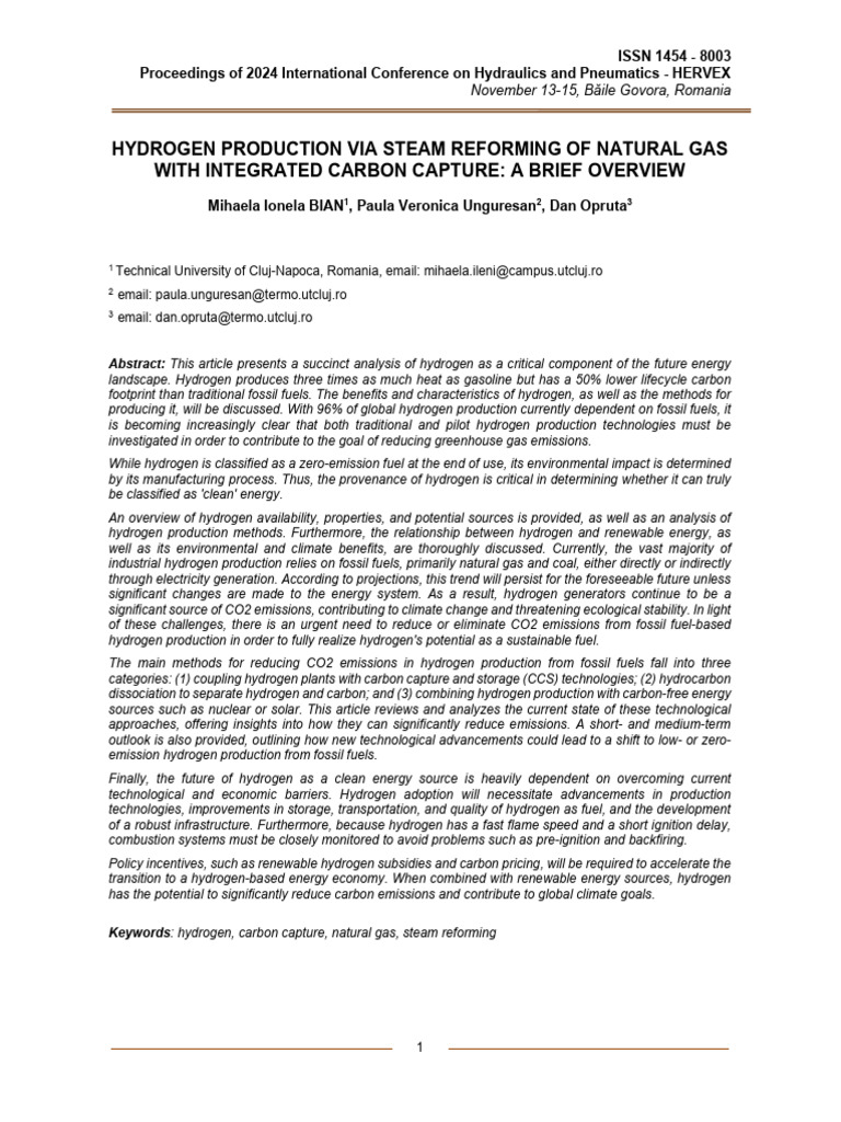 Hydrogen Production and Carbon Capture Overview | PDF | Hydrogen ...