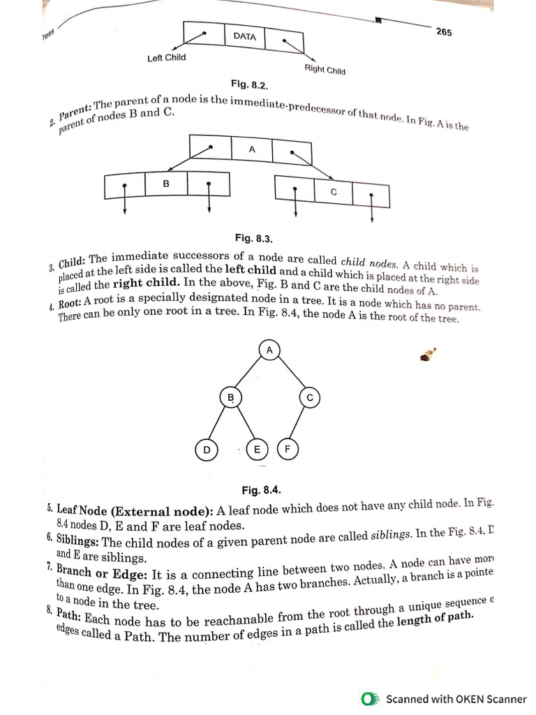 Binary Tree | PDF