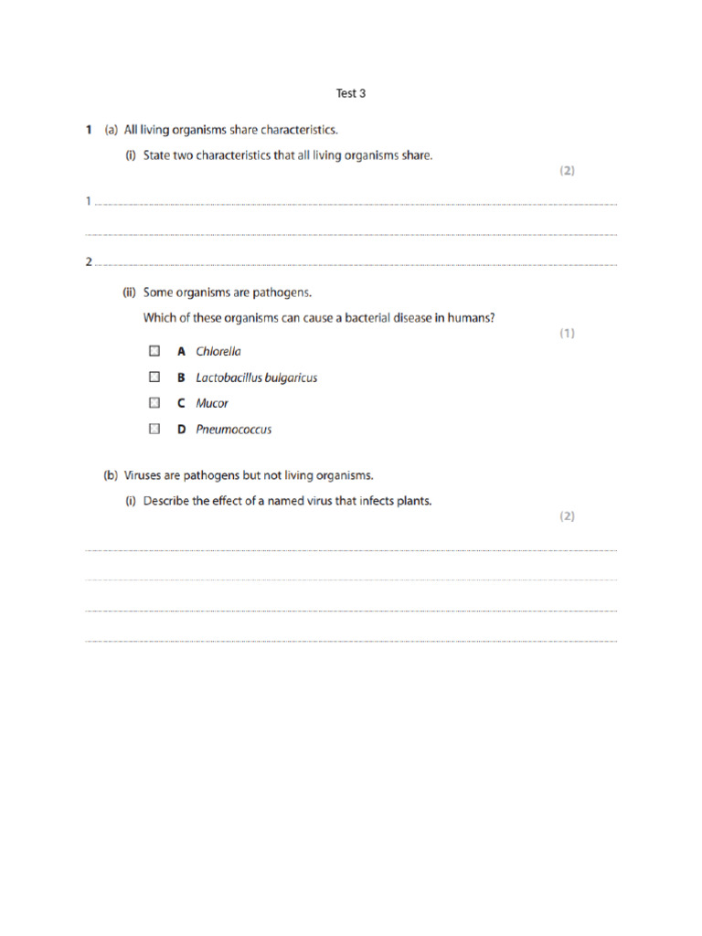 Test 3 | PDF