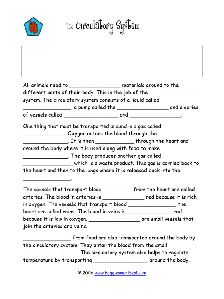 Circulatory System Worksheet | PDF