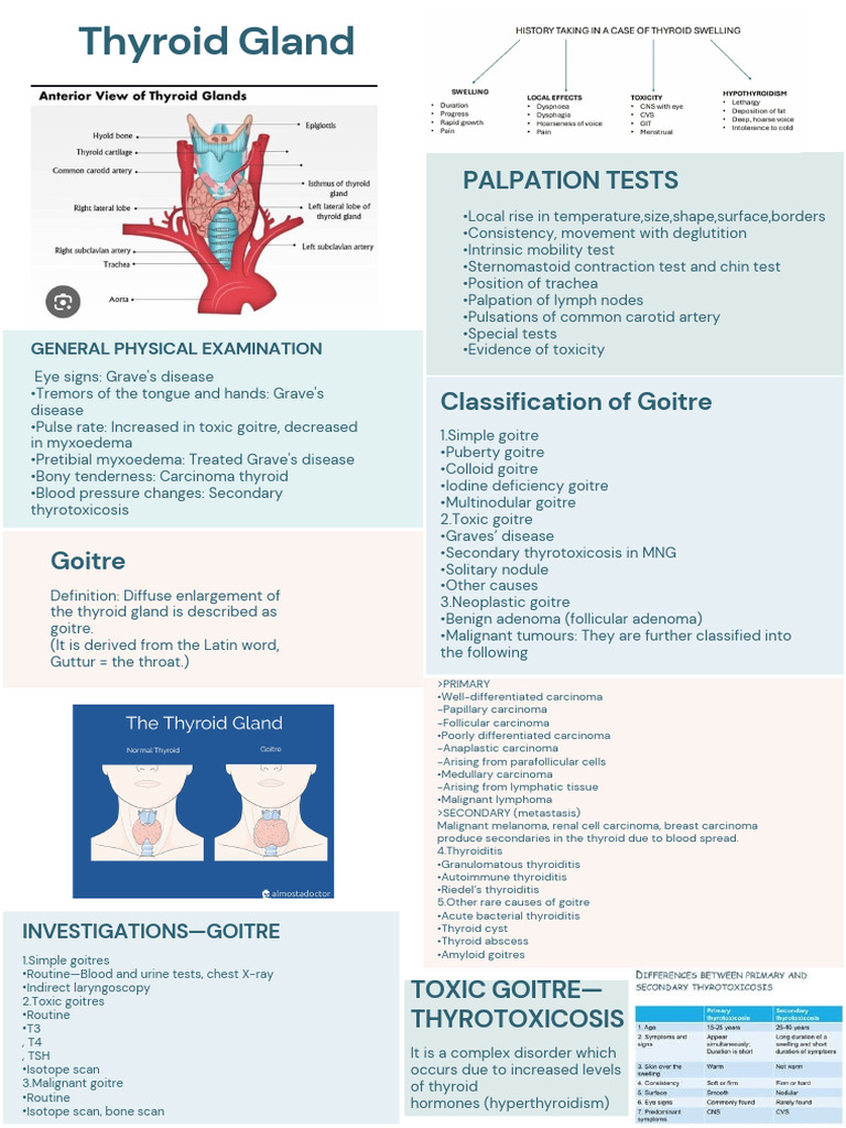Thyroid Gland - 20241024 - 202844 - 0000 | PDF | Thyroid | Hyperthyroidism