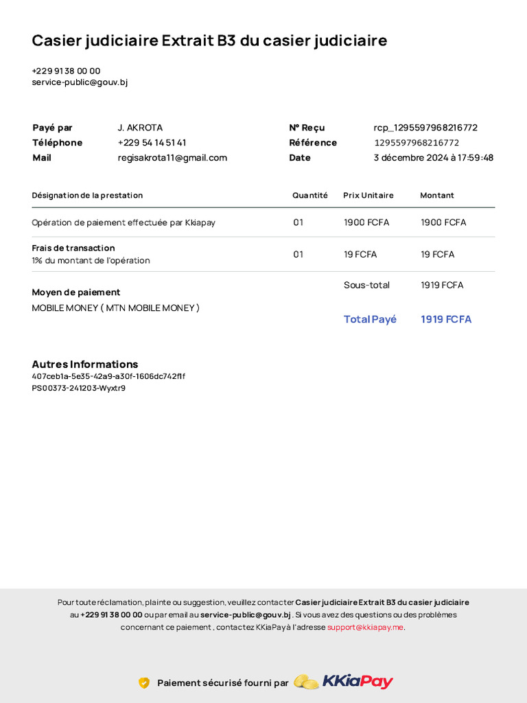 Extrait B3 Casier Judiciaire - Paiement | PDF