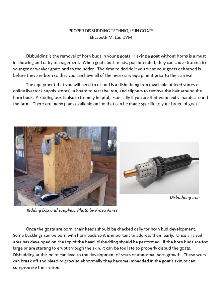 Disbudding Techniques for Goats | PDF | Goat | Domesticated Animals