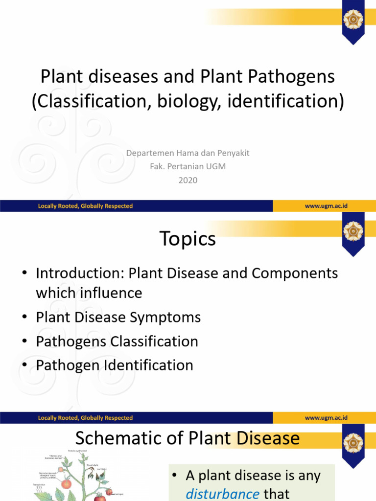 Understanding Plant Diseases and Pathogens | PDF | Pathogen | Virus