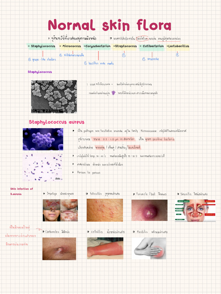 Skin Infection | PDF