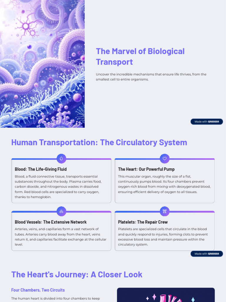 Human and Plant Transport Systems Explained | PDF | Blood | Circulatory ...