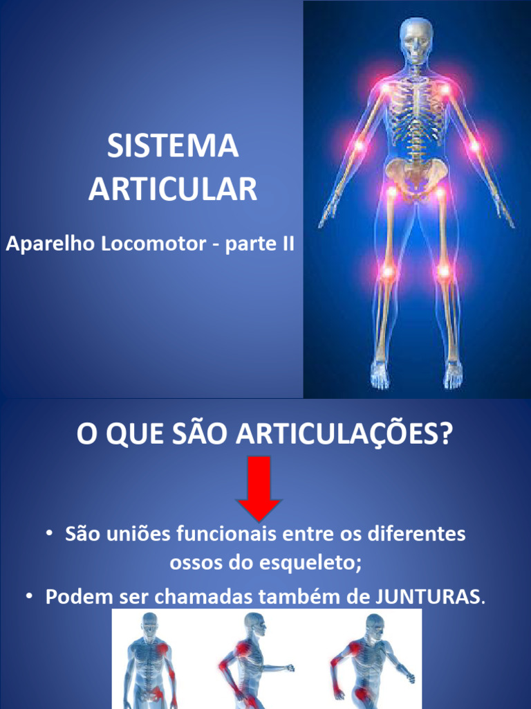 Aula Sistema Articular | PDF | Esqueleto | Osso