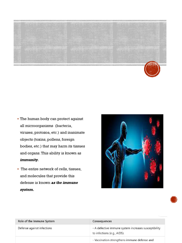 Understanding the Immune System Basics | PDF | Immune System | Innate ...