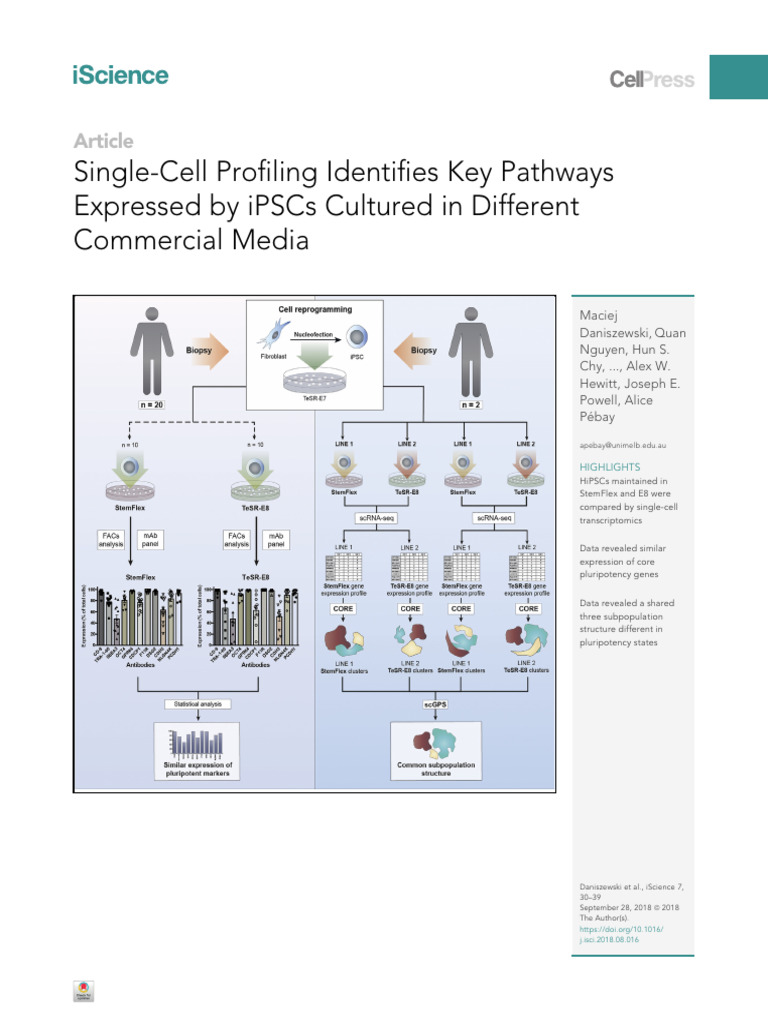 iPSC Pathways in StemFlex vs. TeSR-E8 | PDF | Cell Potency | Cellular ...