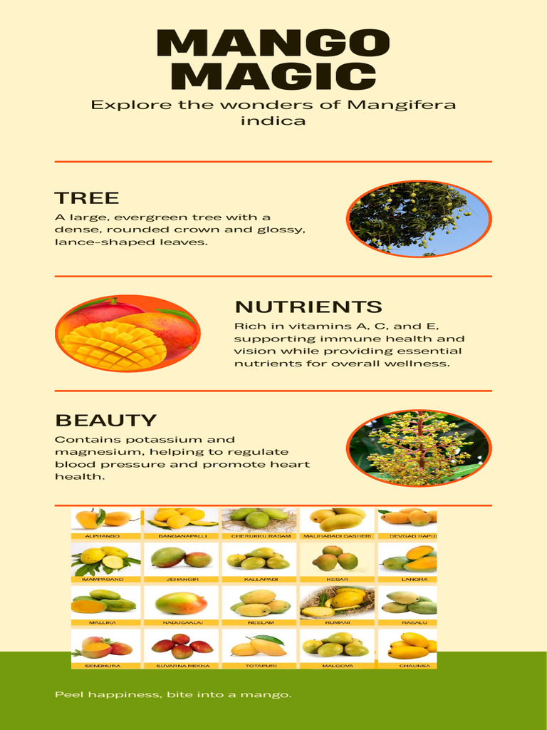 Infographic - Mango Magic | PDF