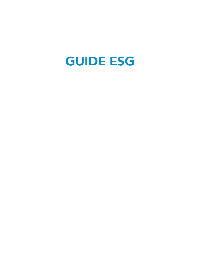 Guide pratique des 7 étapes ESG | PDF | Roche noire | Responsabilité ...