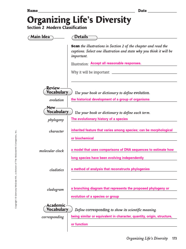 Modern Classification in Evolution | PDF | Species | Evolution