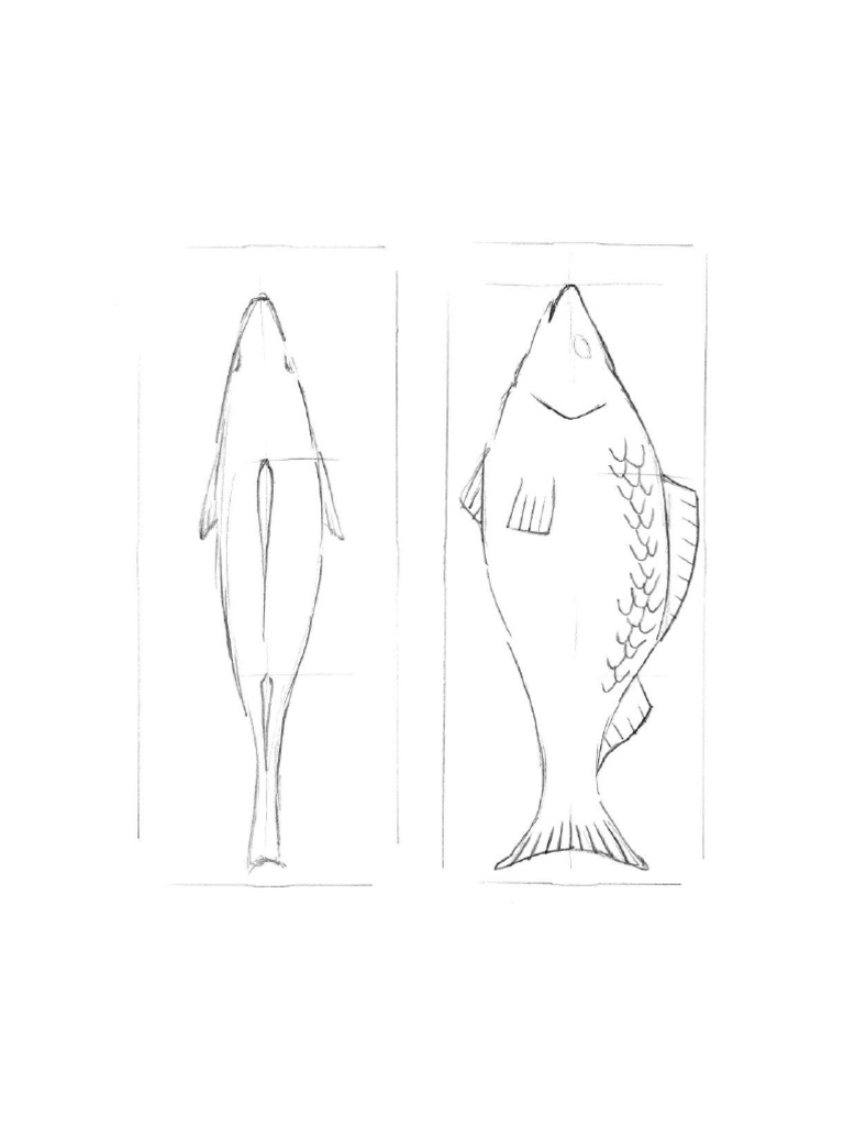 Fish 2 | PDF
