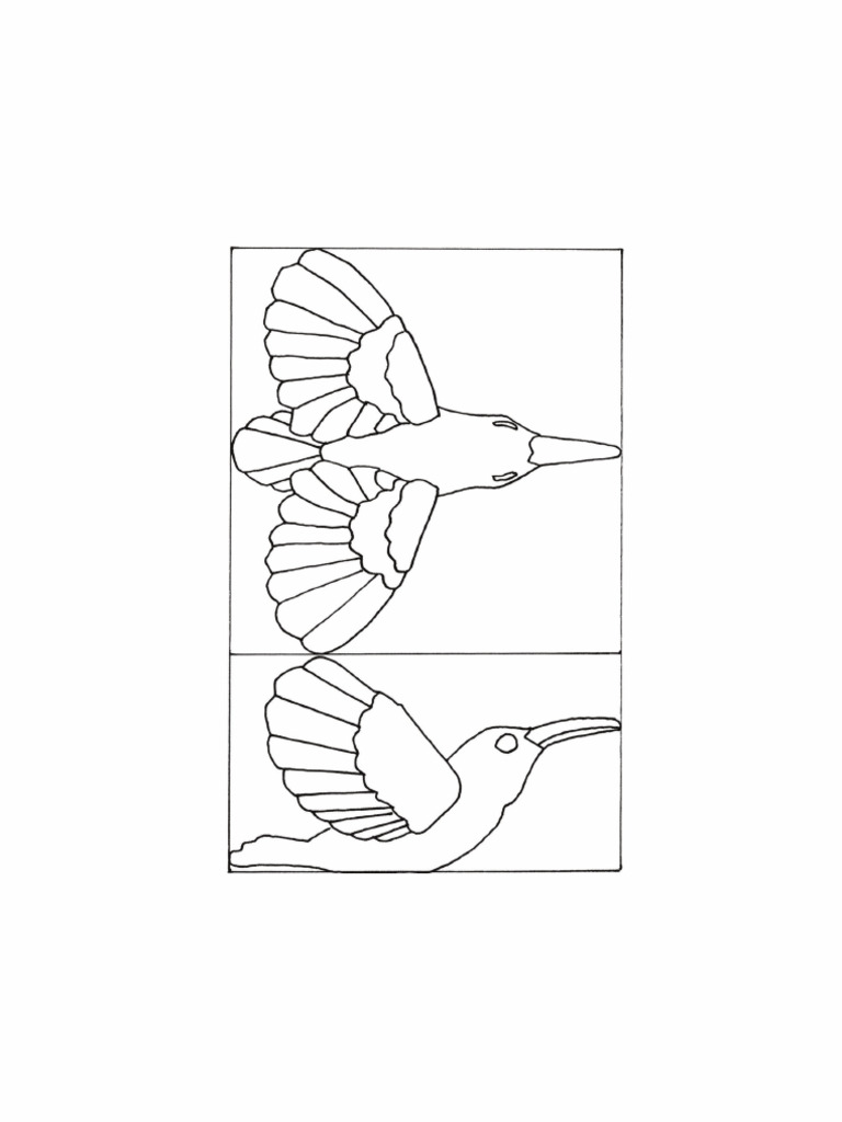 Hummingbird | PDF