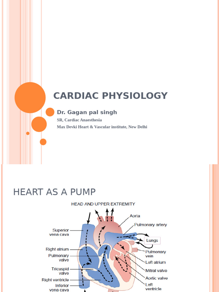 Cardiovascular Physiology | PDF | Diastole | Cardiac Muscle