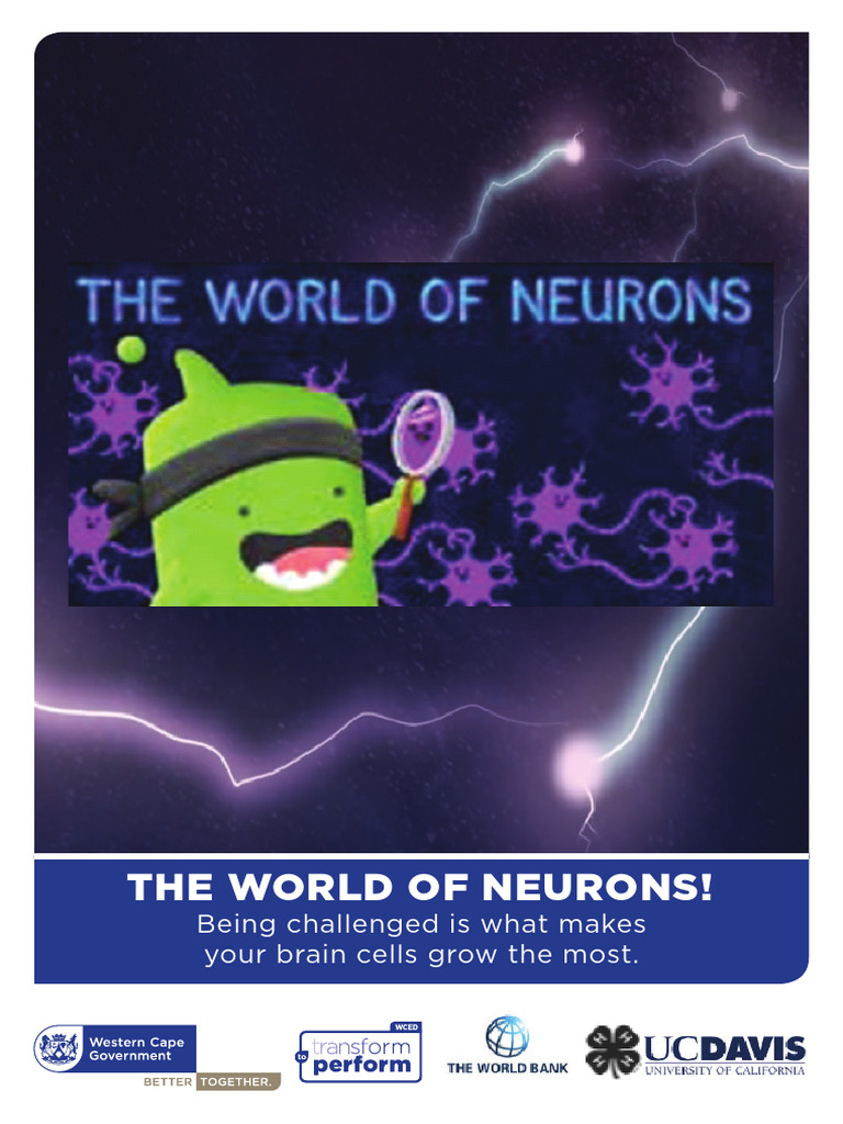 GM Poster - Mojo - 05 - The World of Neurons | PDF