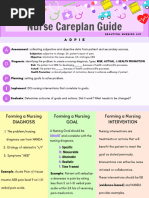 Nursing Care Plan Using ADPIE Framework | PDF | Nursing | Diseases And ...