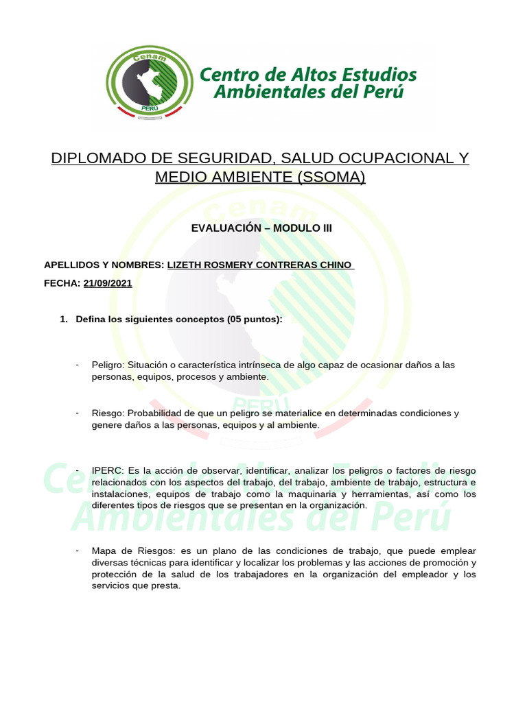 Diplomado en Seguridad y Salud Ocupacional | PDF