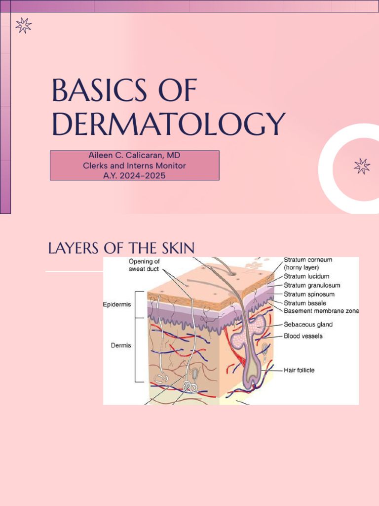 Dermatology Basics: Skin Lesions Guide | PDF | Dermatitis | Dermatology