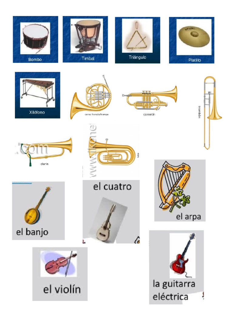 5 Imagenes de Cada Familia de Instrumentos | PDF